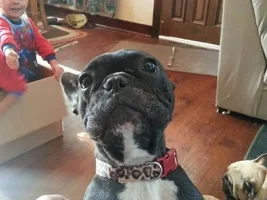 Sorry every body