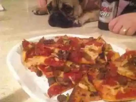 Can I pleeeeease have a bite??