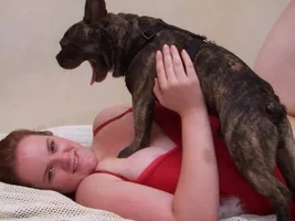 ~ENTER HERE~ *SMILING FRENCHIES* April Frenchie of the Month!