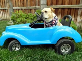 Rocco's 1st Fundraiser