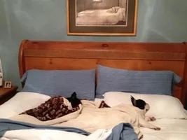 Cozy