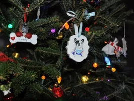 O' Christmas Tree