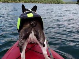 Kayaking - Wilson's turn