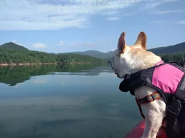 Kayaking adventures