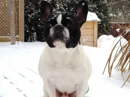 Staring off into space...