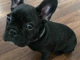 Hello!