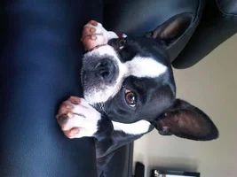 Hi :) Welcome lil Diego