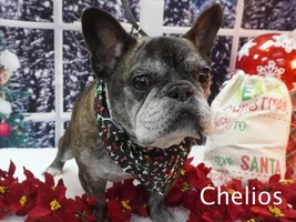 Happy holidays!