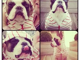 Fiona + hoodies = noooo
