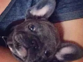 New blue baby named BATMAN.