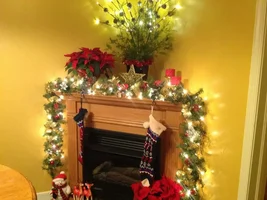 Let's see that tree!