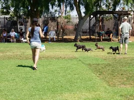 Batman at the dog park and mommies new camera!