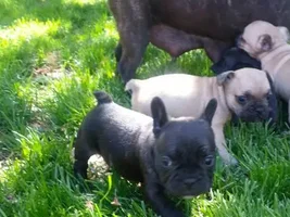 More pic of the family first time out I wish I can just posted the video
