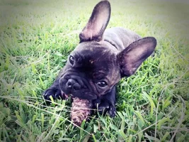 enjoying life at 12 weeks!
