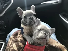 Happy to be here!!