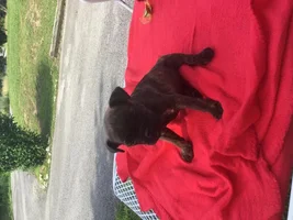My Little Baby