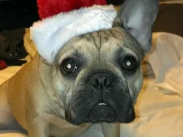 Hi -- here is Cheli