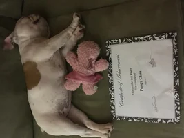 The Graduate!