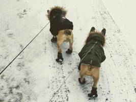 Bring on the cold!