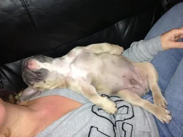 Sleeping positions........