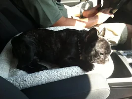Sleeping positions........