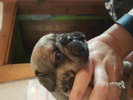 Hi everyone!!