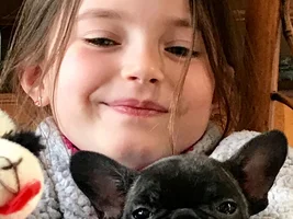 ~ENTER HERE~ May Frenchie of the Month Contest "Frenchies with Children"