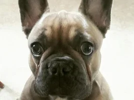 My little boy was too good for this world