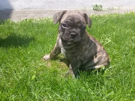 Hello to everyone :D