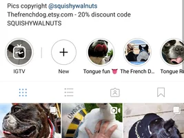 Does your frenchie have...