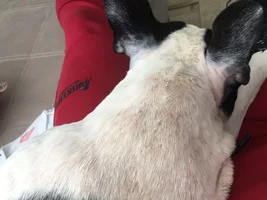 Allergy help please