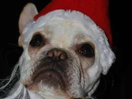 Ho Ho Ho pics....
