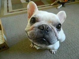 Hi Everyone! This is my first post