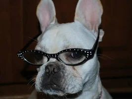 Roger loves his new look