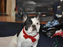 Christmas Photos