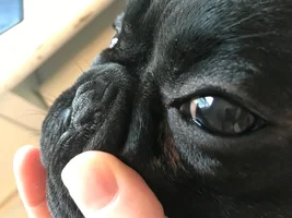 watering eyes?