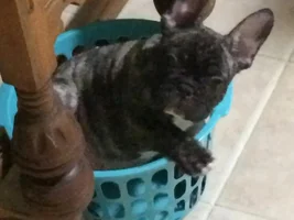 Monte and Reese updated pics