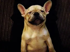 Chester!