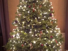 Let's see that tree!