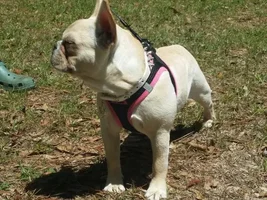 Godzilla enjoys the sunshine!!!