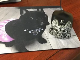 I'm having way to much fun shopping for Frenchie stuff!