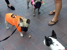 Jake & Stella's 1st Meet up