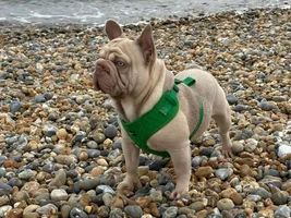 Anyone Living In Eastbourne Who Wants To Make Friends? 👋🏻