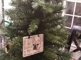 Let's see that tree!