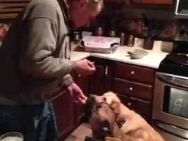 Can I pleeeeease have a bite??