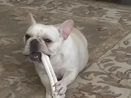 K,  I'll go first