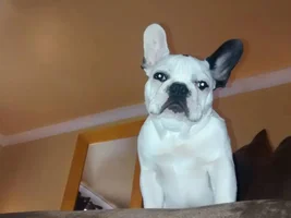 Making sure I don't Slack