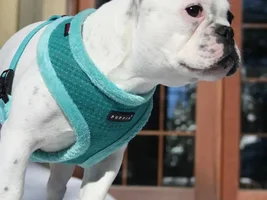Meet Jackson Douglas