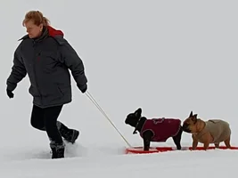 4 PAW MEMBERS!! Please VOTE for your favorite FROZEN FRENCHIES!