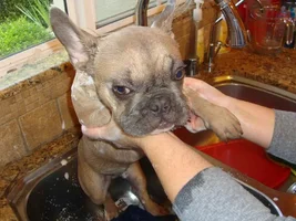 Bath time!